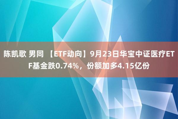 陈凯歌 男同 【ETF动向】9月23日华宝中证医疗ETF基金跌0.74%,份额加多4.15亿份