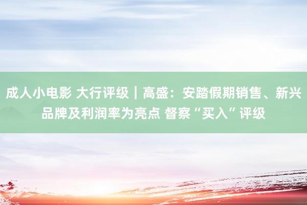 成人小电影 大行评级｜高盛：安踏假期销售、新兴品牌及利润率为亮点 督察“买入”评级
