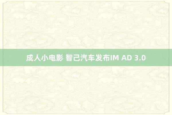 成人小电影 智己汽车发布IM AD 3.0