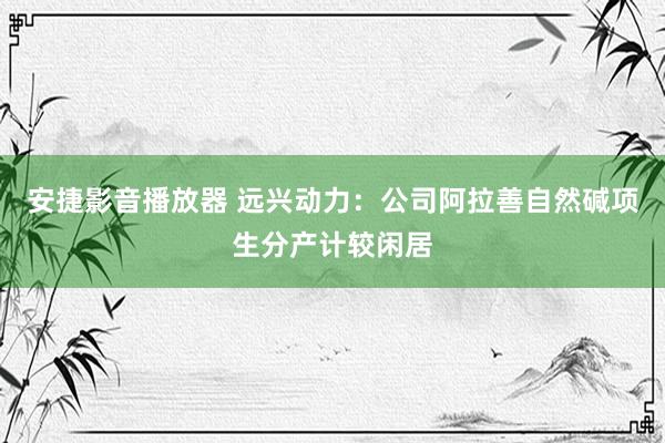安捷影音播放器 远兴动力：公司阿拉善自然碱项生分产计较闲居