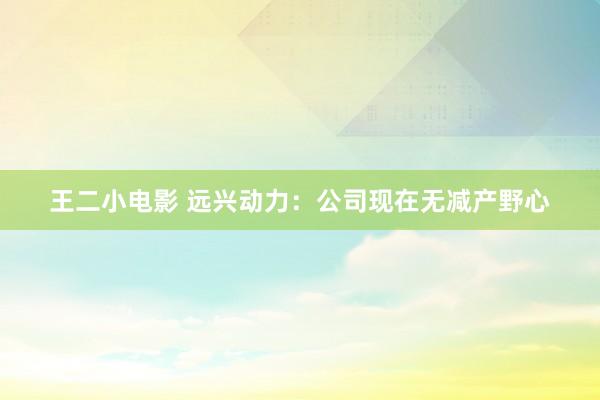 王二小电影 远兴动力：公司现在无减产野心