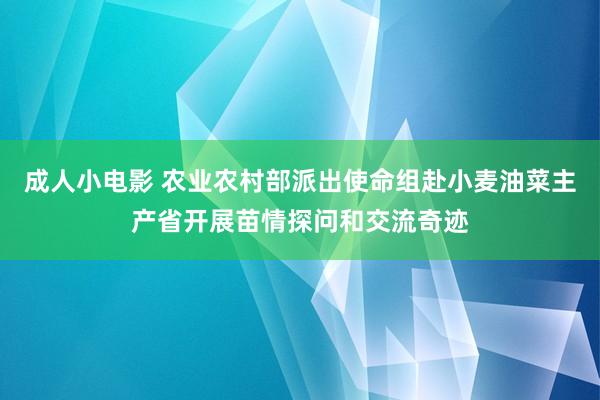 成人小电影 农业农村部派出使命组赴小麦油菜主产省开展苗情探问和交流奇迹