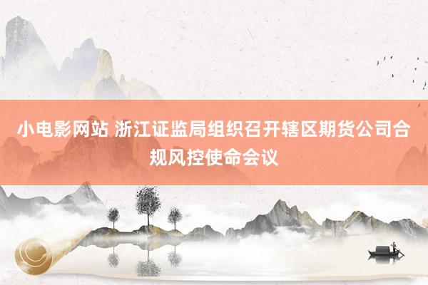小电影网站 浙江证监局组织召开辖区期货公司合规风控使命会议