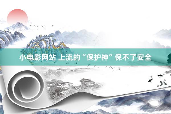 小电影网站 上流的“保护神”保不了安全