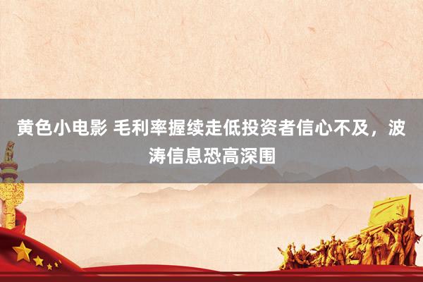黄色小电影 毛利率握续走低投资者信心不及，波涛信息恐高深围