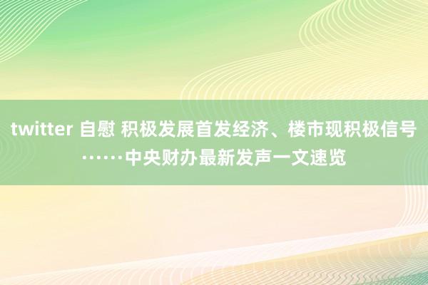 twitter 自慰 积极发展首发经济、楼市现积极信号······中央财办最新发声一文速览