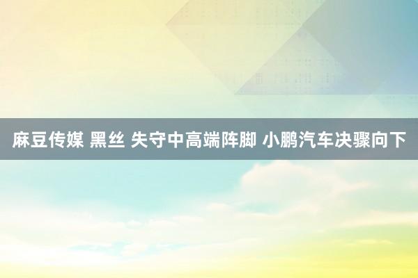 麻豆传媒 黑丝 失守中高端阵脚 小鹏汽车决骤向下