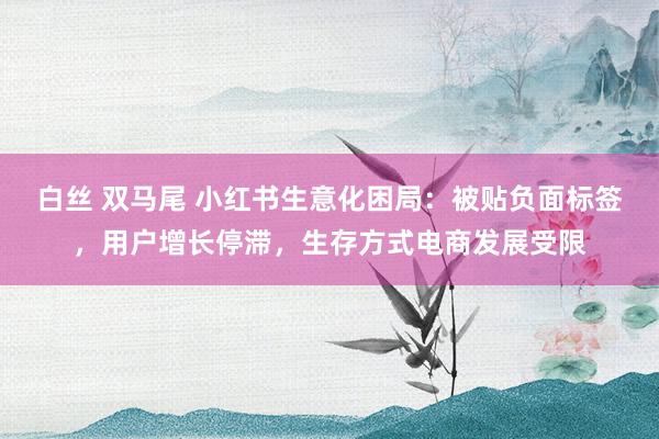 白丝 双马尾 小红书生意化困局：被贴负面标签，用户增长停滞，生存方式电商发展受限