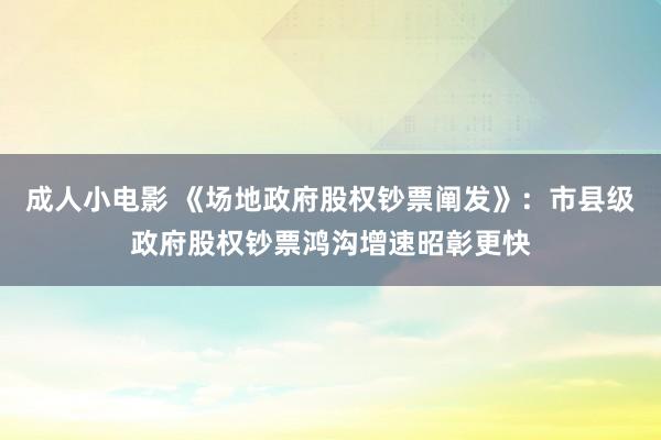 成人小电影 《场地政府股权钞票阐发》：市县级政府股权钞票鸿沟增速昭彰更快