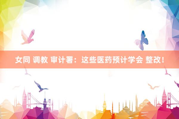 女同 调教 审计署：这些医药预计学会 整改！