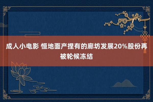 成人小电影 恒地面产捏有的廊坊发展20%股份再被轮候冻结