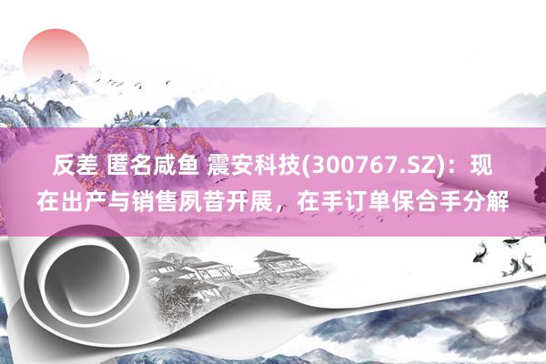 反差 匿名咸鱼 震安科技(300767.SZ)：现在出产与销售夙昔开展，在手订单保合手分解