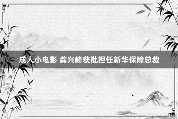 成人小电影 龚兴峰获批担任新华保障总裁