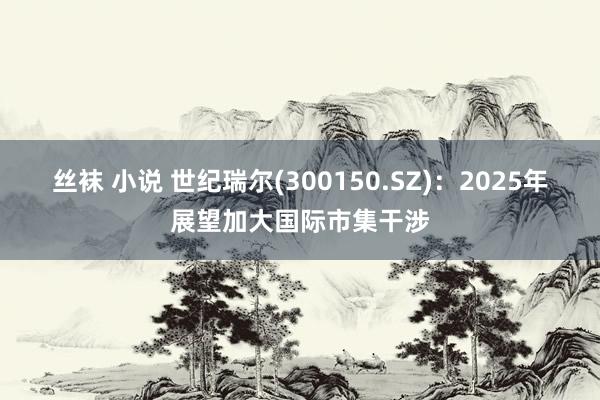丝袜 小说 世纪瑞尔(300150.SZ)：2025年展望加大国际市集干涉