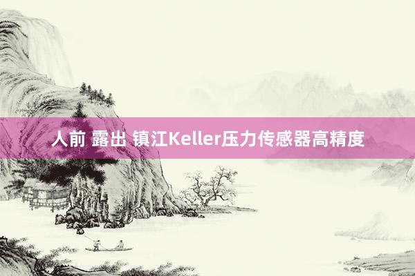 人前 露出 镇江Keller压力传感器高精度