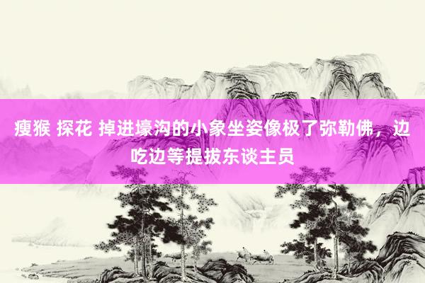 瘦猴 探花 掉进壕沟的小象坐姿像极了弥勒佛，边吃边等提拔东谈主员