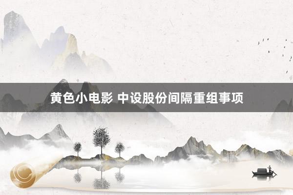 黄色小电影 中设股份间隔重组事项