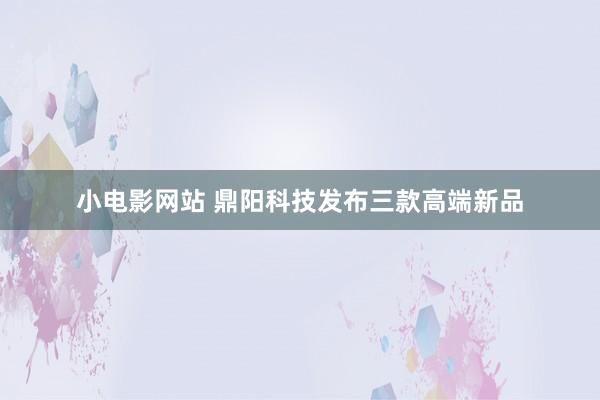 小电影网站 鼎阳科技发布三款高端新品