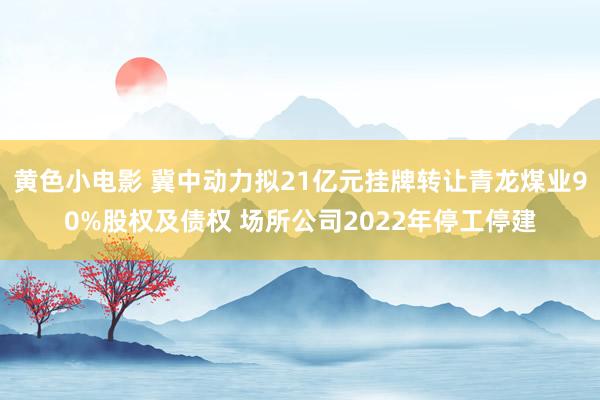 黄色小电影 冀中动力拟21亿元挂牌转让青龙煤业90%股权及债权 场所公司2022年停工停建