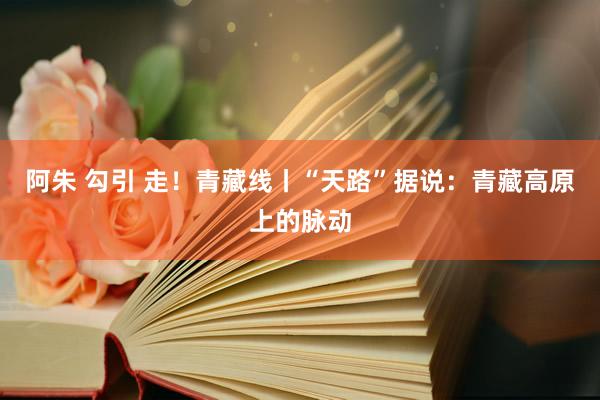 阿朱 勾引 走！青藏线丨“天路”据说：青藏高原上的脉动