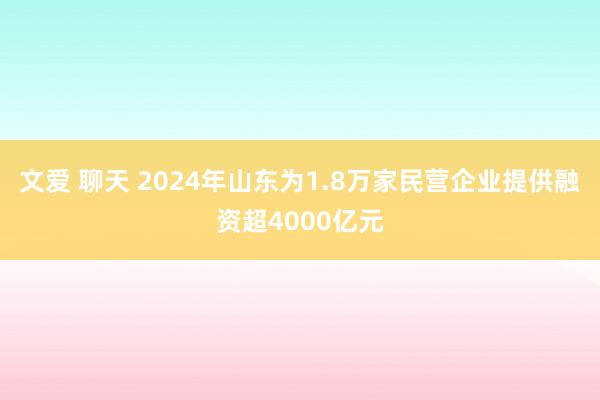 文爱 聊天 2024年山东为1.8万家民营企业提供融资超4000亿元