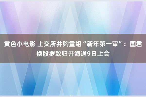 黄色小电影 上交所并购重组“新年第一审”：国君换股罗致归并海通9日上会