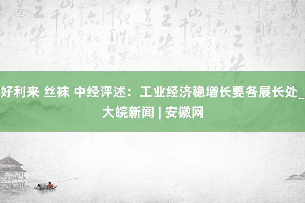 好利来 丝袜 中经评述：工业经济稳增长要各展长处_大皖新闻 | 安徽网