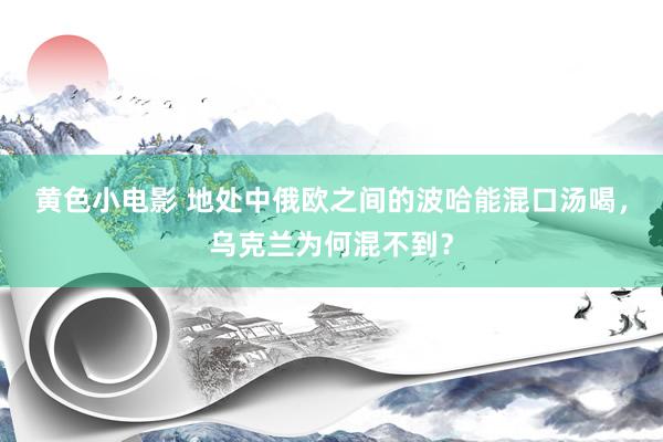 黄色小电影 地处中俄欧之间的波哈能混口汤喝，乌克兰为何混不到？
