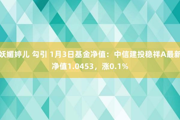 妖媚婷儿 勾引 1月3日基金净值：中信建投稳祥A最新净值1.0453，涨0.1%