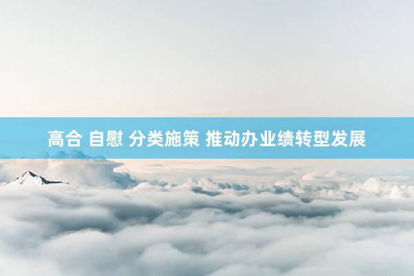 高合 自慰 分类施策 推动办业绩转型发展