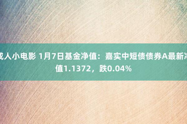 成人小电影 1月7日基金净值：嘉实中短债债券A最新净值1.1372，跌0.04%
