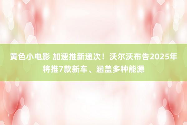 黄色小电影 加速推新递次！沃尔沃布告2025年将推7款新车、涵盖多种能源