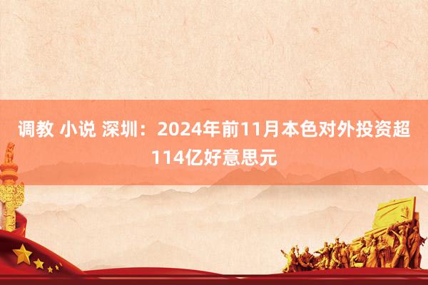 调教 小说 深圳：2024年前11月本色对外投资超114亿好意思元