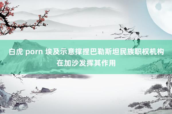 白虎 porn 埃及示意撑捏巴勒斯坦民族职权机构在加沙发挥其作用