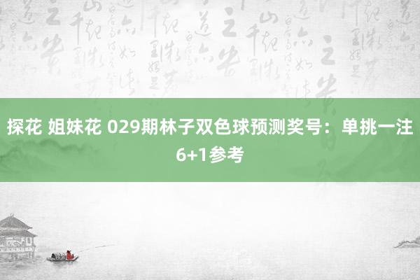 探花 姐妹花 029期林子双色球预测奖号：单挑一注6+1参考