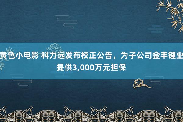 黄色小电影 科力远发布校正公告，为子公司金丰锂业提供3，000万元担保