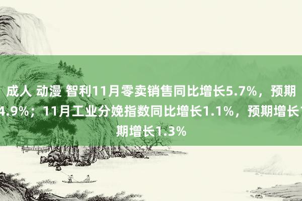 成人 动漫 智利11月零卖销售同比增长5.7%，预期增长4.9%；11月工业分娩指数同比增长1.1%，预期增长1.3%