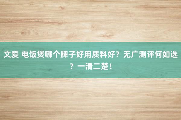 文爱 电饭煲哪个牌子好用质料好？无广测评何如选？一清二楚！