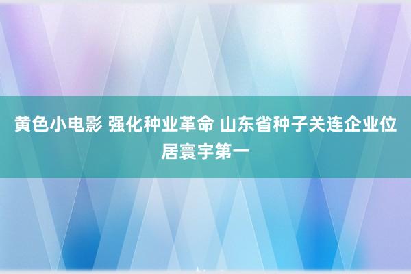 黄色小电影 强化种业革命 山东省种子关连企业位居寰宇第一