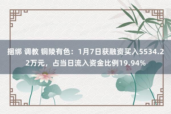 捆绑 调教 铜陵有色：1月7日获融资买入5534.22万元，占当日流入资金比例19.94%