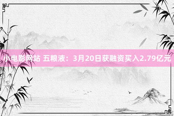 小电影网站 五粮液：3月20日获融资买入2.79亿元