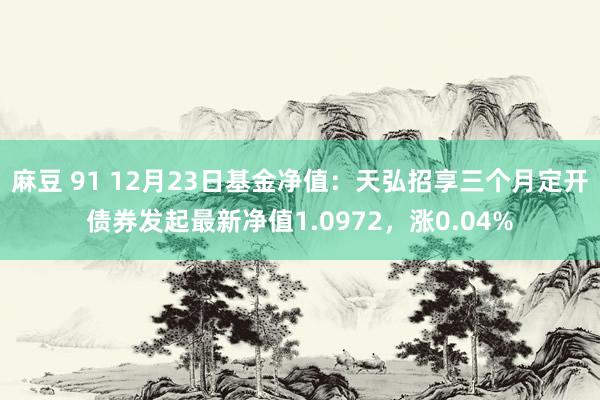 麻豆 91 12月23日基金净值：天弘招享三个月定开债券发起最新净值1.0972，涨0.04%