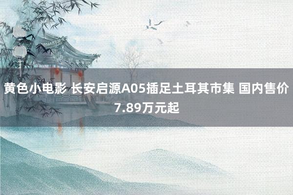 黄色小电影 长安启源A05插足土耳其市集 国内售价7.89万元起