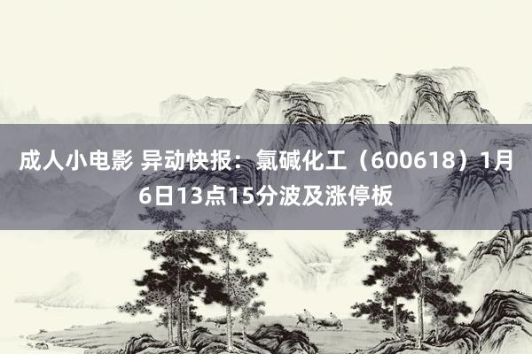 成人小电影 异动快报：氯碱化工（600618）1月6日13点15分波及涨停板