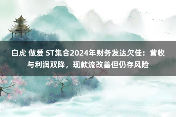 白虎 做爱 ST集合2024年财务发达欠佳：营收与利润双降，现款流改善但仍存风险