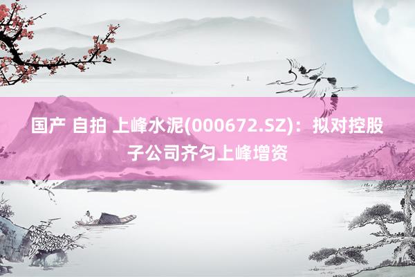 国产 自拍 上峰水泥(000672.SZ)：拟对控股子公司齐匀上峰增资