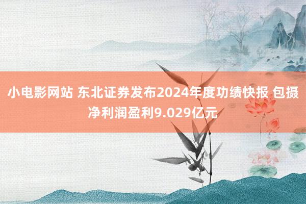 小电影网站 东北证券发布2024年度功绩快报 包摄净利润盈利9.029亿元