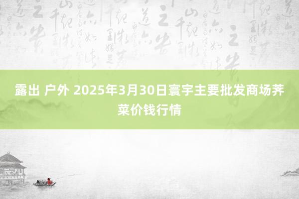 露出 户外 2025年3月30日寰宇主要批发商场荠菜价钱行情