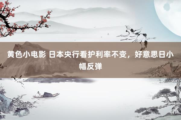 黄色小电影 日本央行看护利率不变，好意思日小幅反弹