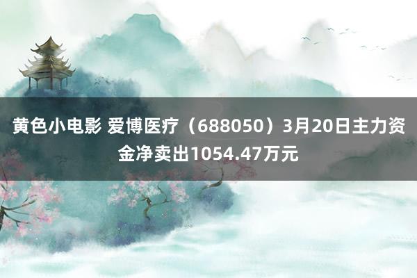 黄色小电影 爱博医疗（688050）3月20日主力资金净卖出1054.47万元